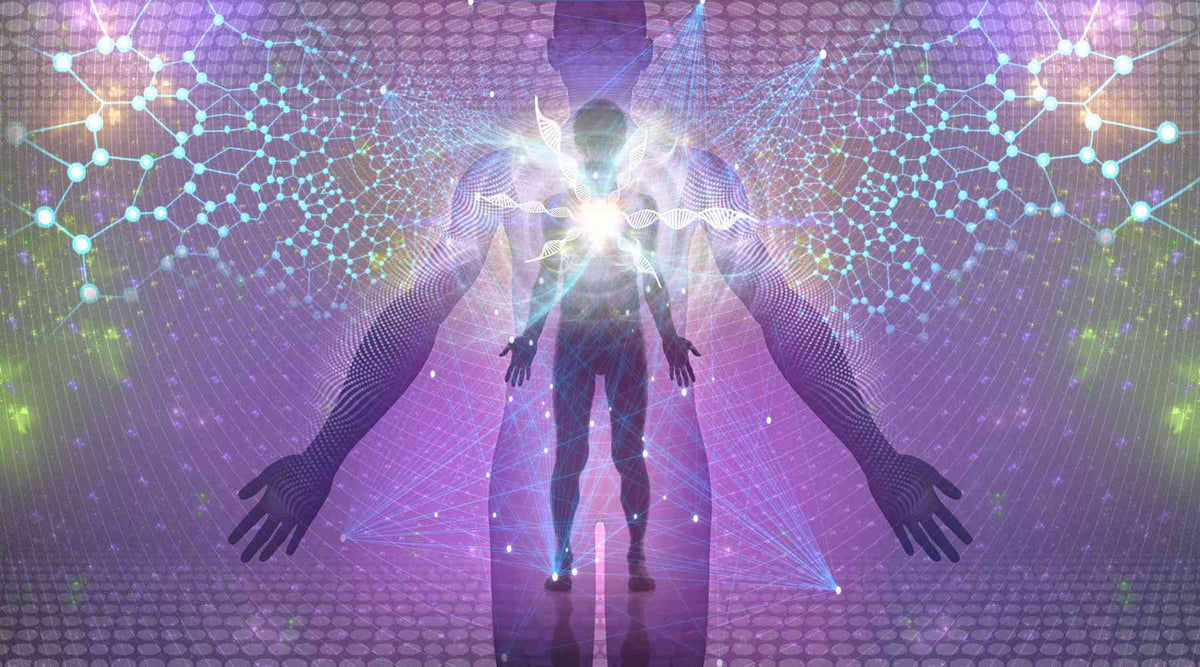 Discovering the World of Biohacking