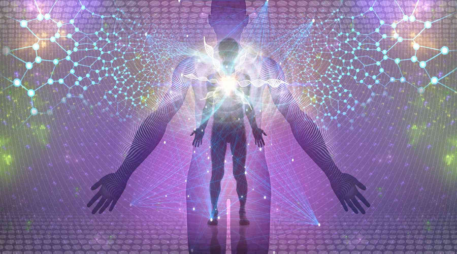 Discovering the World of Biohacking